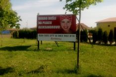 green market_aleksandrovo_9